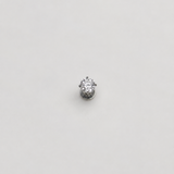 Splendore Piercing
