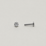 Splendore Piercing