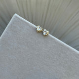 Muse Heart Studs