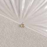 Clover Éclat Piercing